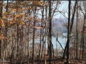 Oh the View! If your looking for Norris Lake & Mountain views for sale in New Tazewell Tennessee Claiborne County County on GolfHomes.com