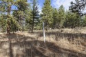  Ad# 6489183 golf course property for sale on GolfHomes.com