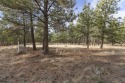  Ad# 6489183 golf course property for sale on GolfHomes.com