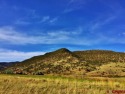 Suzy Woodward, Team Murphy Realty, C: , suzy,  : Commercial for sale in South Fork Colorado Rio Grande County County on GolfHomes.com