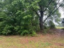 Check out this beautiful, partially cleared lot, between the 7th for sale in Lumberton Mississippi Pearl River County County on GolfHomes.com