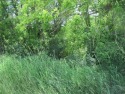  Ad# 5070014 golf course property for sale on GolfHomes.com