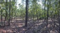 Discover the perfect canvas for your dream home on this for sale in Freeport Florida Walton County County on GolfHomes.com