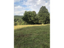Nestled on a stunning 9-acre parcel of land, this property is a for sale in Copperhill Tennessee Polk County County on GolfHomes.com