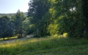 Corner LEVEL Buildable Lot in Smoke Rise, an established for sale in Hayesville North Carolina Clay County County on GolfHomes.com
