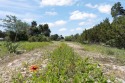 Discover the epitome of luxury living on this expansive 3+ acre for sale in Cleburne Texas Johnson County County on GolfHomes.com