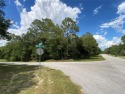 DON'T MISS THIS AMAZING OPPORTUNITY TO PURCHASE A CORNER LOT IN for sale in Dunnellon Florida Marion County County on GolfHomes.com