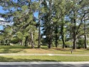 An expansive vista across the 2nd hole/West course invites you for sale in Bluffton South Carolina Beaufort County County on GolfHomes.com