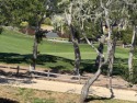  Ad# 6213937 golf course property for sale on GolfHomes.com