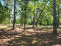 Beautiful and rare golf/pond view home site on .65/acre in the for sale in Ocean Isle Beach North Carolina Brunswick County County on GolfHomes.com