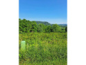 Lot 25 @ Fountain Springs - One of the finest lots within Monroe for sale in Peterstown West Virginia Monroe County County on GolfHomes.com