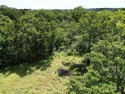 Nestled in the highly sought-after High Point Estates for sale in Sulphur Springs Texas Hopkins County County on GolfHomes.com