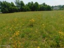 Beautiful 2.75 LEVEL ACRES in the heart of the residential for sale in Middlesboro Kentucky Bell County County on GolfHomes.com