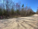 This wooded lot is located down a private drive, only 1 of 3 for sale in Twin Lake Michigan Muskegon County County on GolfHomes.com