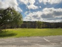 COME BUILD YOUR DREAM HOME on his gorgeous Brazos riverfront lot, Texas