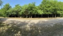 Pretty level lot with plenty of trees ready to build your dream, Texas