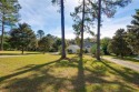 1-story all 4-sides brick pool home with beautiful views of the for sale in Tallahassee Florida Leon County County on GolfHomes.com