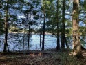 Great views on this waterfront lake lot close to amenities. Best for sale in Daniels West Virginia Raleigh County County on GolfHomes.com