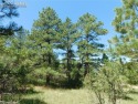  Ad# 6552385 golf course property for sale on GolfHomes.com