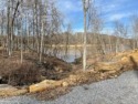 Terrific waterfront building site (Lot 23), with existing dock for sale in Falls of Rough Kentucky Grayson County County on GolfHomes.com
