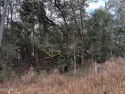 Discover serenity on this secluded wooded lot nestled in a for sale in Beaufort South Carolina Beaufort County County on GolfHomes.com