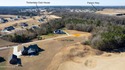 Build your dream home on this stunning vacant lot in Timberlake for sale in Clinton North Carolina Sampson County County on GolfHomes.com