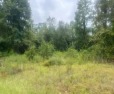 Check out this beautiful lot on the Lake! This lot is in the for sale in Lumberton Mississippi Pearl River County County on GolfHomes.com
