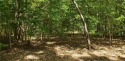 Come build your home on this nice level wooded lot located in for sale in Sanford North Carolina Lee County County on GolfHomes.com