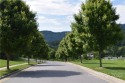 Ideal Hotel Site. close to dining, golf, Lake Junaluska, Lowe's for sale in Waynesville North Carolina Haywood County County on GolfHomes.com