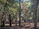 Come check out this great residential lot in the heart of for sale in Beaufort South Carolina Beaufort County County on GolfHomes.com