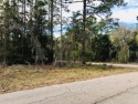 BUILD YOUR DREAM HOME IN THE COUNTRY!! Almost 1/4 acre corner for sale in Williston Florida Levy County County on GolfHomes.com