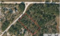 Looking for over an acre of land to build your dream home? for sale in Ocala Florida Marion County County on GolfHomes.com