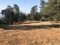 Wild life, clean air and views await! Thisbuildable lot with for sale in Tehachapi California Kern County County on GolfHomes.com