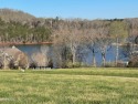 Beautiful, Full size level waterfront lot with Full Golf for sale in Vonore Tennessee Loudon County County on GolfHomes.com