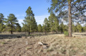 This gorgeous lot is located in Highland Meadows surrounded by for sale in Williams Arizona Coconino County County on GolfHomes.com
