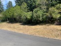 Fantastic views from this over 1/2 acre lot, located in for sale in Florence Oregon Lane County County on GolfHomes.com