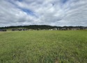 For more information, please contact listing agent Michael for sale in Spearfish South Dakota Lawrence County County on GolfHomes.com