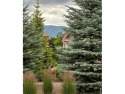  Ad# 6016304 golf course property for sale on GolfHomes.com