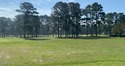 Nestled within the prestigious Duplin Country Club, Lot 49 for sale in Kenansville North Carolina Duplin County County on GolfHomes.com
