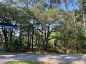 This 1.28 acre lot would be perfect for your new home! The for sale in Beaufort South Carolina Beaufort County County on GolfHomes.com