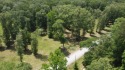 One of the last remaining lots up for sale in this newer for sale in Ville Platte Louisiana Evangeline Parish County on GolfHomes.com