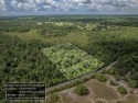 5 quiet acres located on the outskirts of Crawfordville. Minutes for sale in Crawfordville Florida Wakulla County County on GolfHomes.com