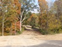 One of the best and the largest lot left in the beautiful Todd's for sale in Wilmington Ohio Clinton County County on GolfHomes.com