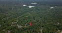 Level, buildable lot in excellent location! Minutes to Back 40 for sale in Bella Vista Arkansas Benton County County on GolfHomes.com