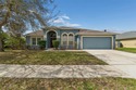 Welcome Home! Beautiful 4 Bedroom, 2 Bath, 2 Car Garage home in for sale in Wesley Chapel Florida Pasco County County on GolfHomes.com