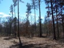 Here's an exceptional opportunity to acquire 4.105 wooded acres for sale in Aiken South Carolina Aiken County County on GolfHomes.com