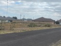 One of the last lots in Monahans Texas with public utility for sale in Monahans Texas Ward County County on GolfHomes.com