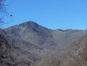 Exceptional long range and mountain winter views. See photos for sale in Waynesville North Carolina Haywood County County on GolfHomes.com
