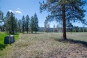  Ad# 5695222 golf course property for sale on GolfHomes.com