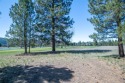  Ad# 5695222 golf course property for sale on GolfHomes.com